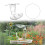 Convenient Window Feeders for Wild Bird Window Mounted Bird 2