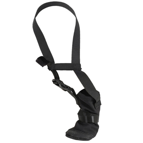 Dog Wound Recovery Boot Soft Front Paws Protector Boot-XL
