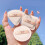 Powder Puff Soft Face Makeup Sponge, Skin-Friendly, Triangular Bagged 3
