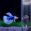 Betta Exercise Mirror Working Out Reduces-6cm double sided mi 4