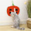 Pet Supply Cats Scratcher Sisal Rope Protect Carpets and Sofas 6