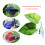 Betta Leaf Pad Hammock Breeding Bed Double-Double outfit 4