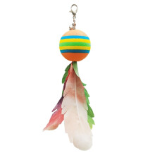 Remplacements de plumes pour chats et chatons, exercices-6