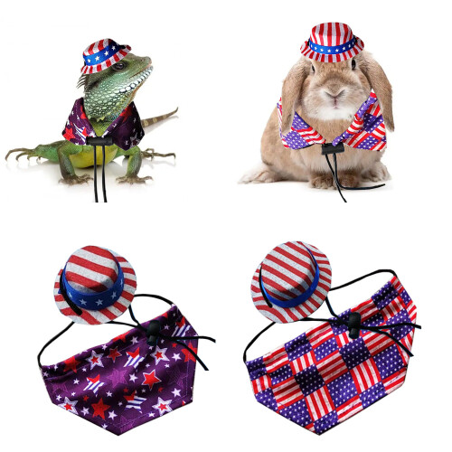 Adjustable Bearded Dragon Costume Lizard Hat with Cloak for-2 S 2