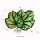 Betta Double Leaf Hammock Fish Shrimp Leaf Bed Resting-purple 4