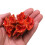 Artificial Coral Plant Aquarium Resin Ornament-Pink 6