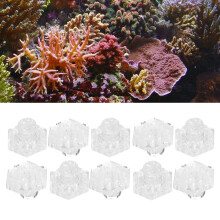10 pièces Support hexagonal pour fragments de coraux en acrylique transparent 4 mm