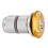 Bouchon de compression du jeu de direction en aluminium 6061 doré de 31.7mm 12