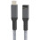 Câble USB 4 pour ThunderRate 4/3 240W, transfert de données-0,3m 1