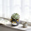 Decorative Black Cats Shape Pot Resin Small Planter Vase For 5