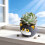 Decorative Black Cats Shape Pot Resin Small Planter Vase For 4