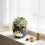 Decorative Black Cats Shape Pot Resin Small Planter Vase For 6
