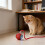 Zusätzliches automatisches Puss-Sphere-Spielzeug aus-Grau 2