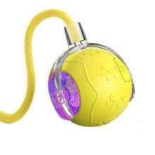 Identité à partir de la sphère de jouet de chat-Jaune