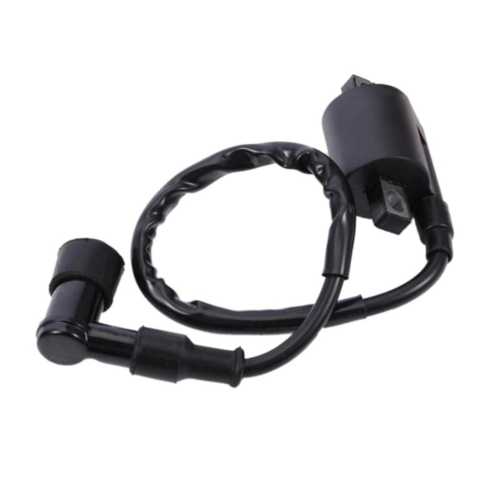 Motorcycle Ignition Coil For Cg125cc Cg150cc Atv Dirt Bike Motorbike 6901423171978