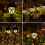 Solarize Victorian Solar Pathway Lights 6 Pack 3