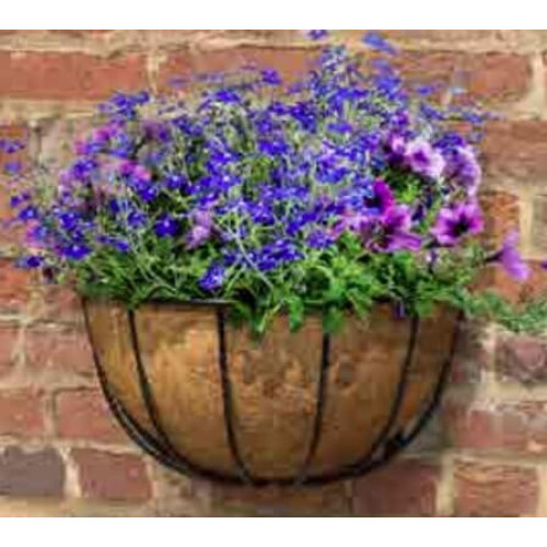 Wrought Iron Wall Basket Planter with Coco Liner