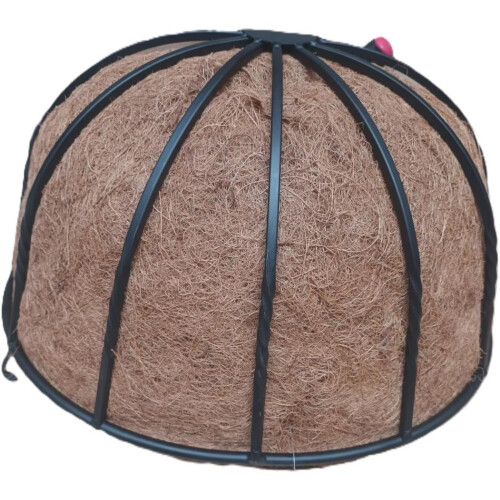 Wrought Iron Wall Basket Planter with Coco Liner 2