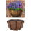 Wrought Iron Wall Basket Planter with Coco Liner 7
