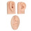 Durable Silicone Nose and Ear Model for Realistic Piercing Training 2