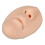 Durable Silicone Nose and Ear Model for Realistic Piercing Training 8