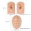 Durable Silicone Nose and Ear Model for Realistic Piercing Training 3