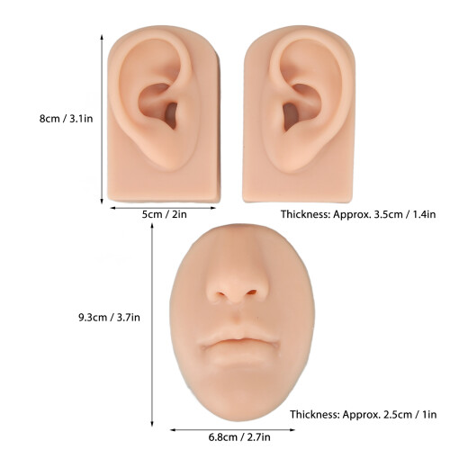 Durable Silicone Nose and Ear Model for Realistic Piercing Training 2