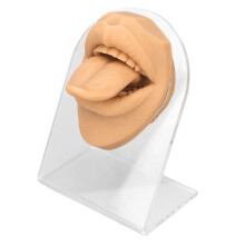 Modèle de langue et de bouche en silicone pour la pratique du piercing. Texture de peau réaliste. Fonctionnalités intelligentes d'économie