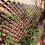 Smart Garden Products Smart Garden Willow Expanding Trellis 1.8 x 0.6m 1