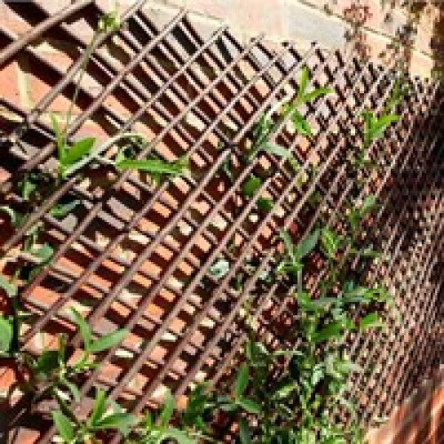 Smart Garden Products Smart Garden Willow Expanding Trellis 1.8 x 0.6m