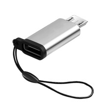 Type C vrouwelijk naar micro-USB mannelijk Opladen en-Zilver