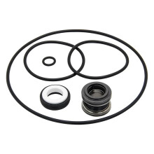 AquaFlo Series Kit Pool Pump Repair Kit Pool Maintenance Easy Installation Long-lasting Precision Designed Components