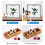 Compact Photo Studio, Color Temperature Adjustable Light Box for Multi-Angle Shooting, Portable and Quickly Foldable for Product Imagery 5