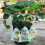 Verstelbare polyester tuintassen-Fruitgroen 15 20cm 3