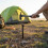 Multipurpose Heavy Duty Carbon Steel Camping Hammer For-Orange 4