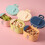 1Ensemble Conteneur PP Pour Compact 5