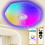 RGB LED Light, Bluetooth Speaker Dimmable Music Lamp, Smart Waterproof Ceiling Light For Bathroom, Shower (Timer Function, Eye Protection) 1