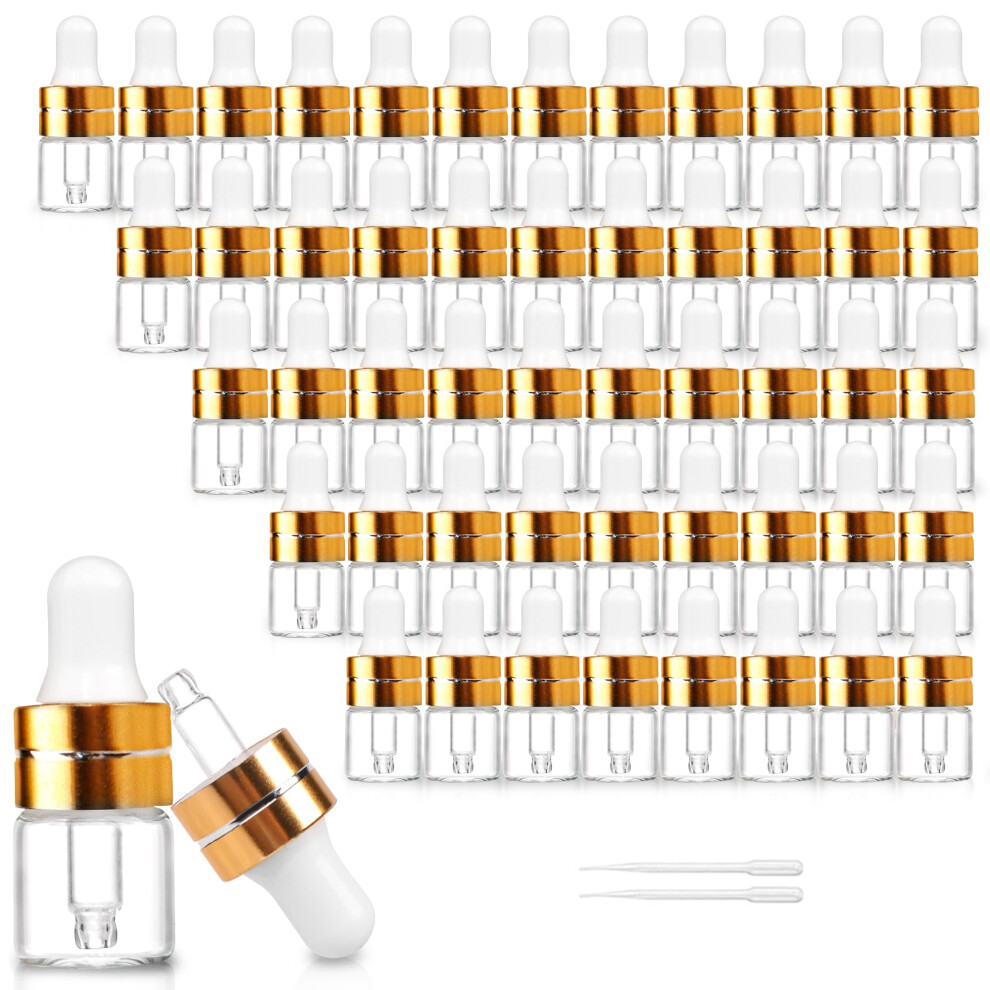 50 Pack 1ml Clear Glass Dropper Bottles with 2 Pcs Plastic Droppers