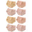 8 Pcs Women's Briefs Breathable Panties 5