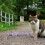 1Stk Katzenbett Hängematte Holzrahmen Katzen 9