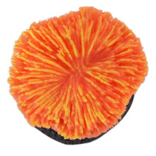 Künstliche Sägegras-Aquariumdekoration, Silikon, Orange, 3,7 cm Basis