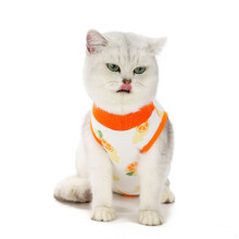 Camisa de recuperación para gato naranja, talla M, espalda 25 cm (9,8 pulgadas)