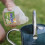 Westland Resolva Concentrate Lawn Weedkiller Extra, 500 ml 4