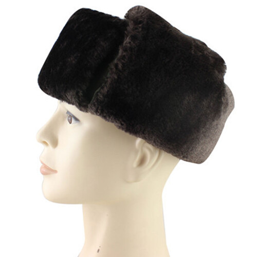 Καπέλο Ushanka με ζεστό σχεδιασμό με επένδυση, καπέλο σκι Trapper με σοβιετικά 2