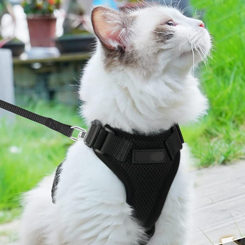 Περπατούρα Feline Freedom, Αναπνεύσιμο σετ ιμάντα και λουριού γάτας από πλέγμα, 1