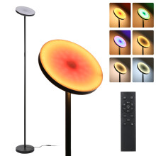 RGBCW Floor Lamp, 66.5in Double Side LED Standing Lamp with Remote