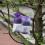 80Stk Lavendel Geschenkbeutel Violett, Strukturiert, Tragbar, Duftend 11