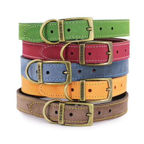 Ancol Ancol Timberwolf Leather Dog Collars