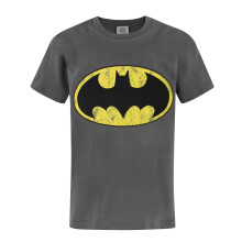 DC Comics Short Sleeved T-Shirt (Boys Grey)