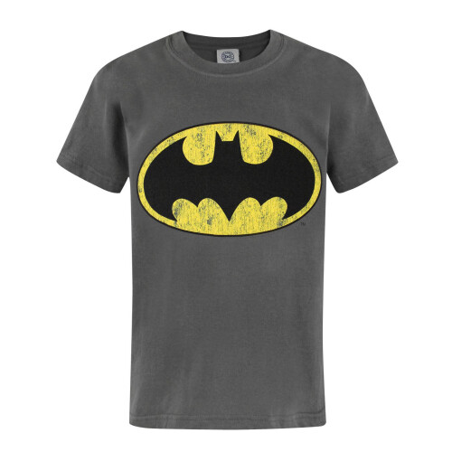 DC Comics DC Comics Short Sleeved T-Shirt (Boys Grey)
